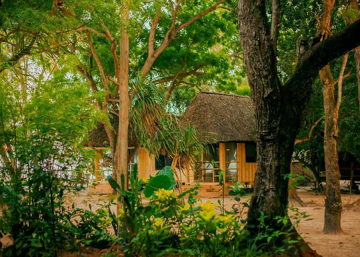 Mikadi Beach Camp & Backpackers