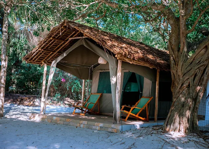 Mikadi Beach Camp & Backpackers