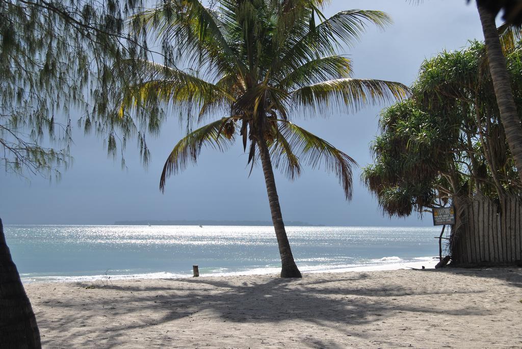 Mikadi Beach Camp & Backpackers Hostel Dar es Salaam